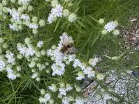 View photo in a new window