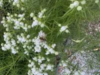 View photo in a new window