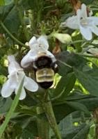 View photo in a new window