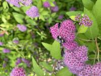 View photo in a new window