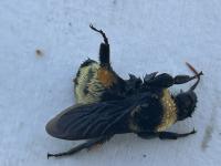 View photo in a new window