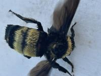 View photo in a new window