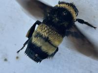 View photo in a new window