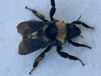 View photo in a new window