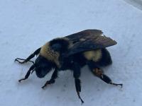 View photo in a new window