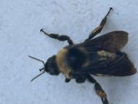 View photo in a new window