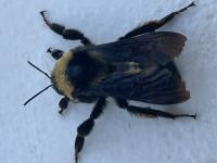 View photo in a new window