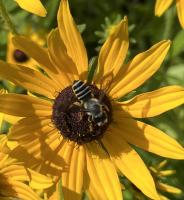 View photo in a new window