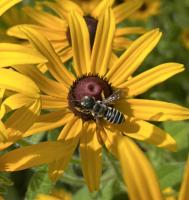 View photo in a new window