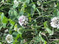 View photo in a new window