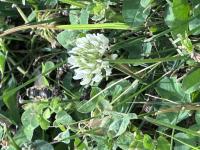 View photo in a new window