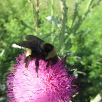 View photo in a new window