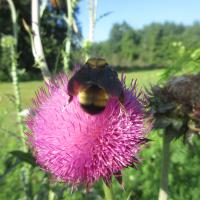 View photo in a new window