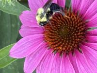 View photo in a new window