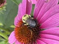 View photo in a new window