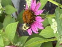 View photo in a new window