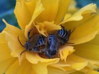 View photo in a new window