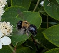 View photo in a new window