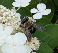 View photo in a new window