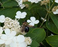 View photo in a new window