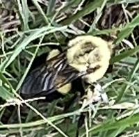 View photo in a new window