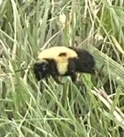 View photo in a new window