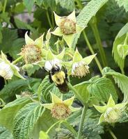 View photo in a new window