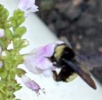 View photo in a new window