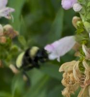 View photo in a new window