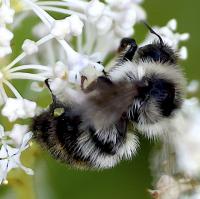 View photo in a new window