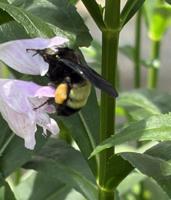 View photo in a new window