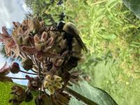 View photo in a new window