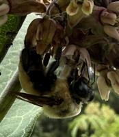 View photo in a new window