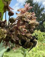 View photo in a new window