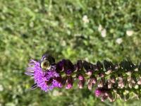 View photo in a new window