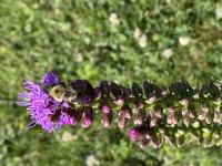 View photo in a new window