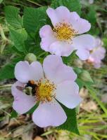 View photo in a new window