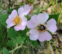 View photo in a new window