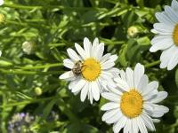 View photo in a new window