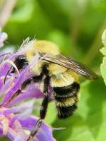 View photo in a new window