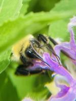 View photo in a new window