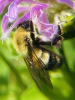 View photo in a new window