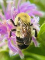 View photo in a new window