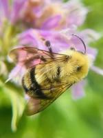 View photo in a new window