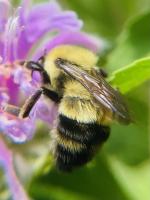 View photo in a new window