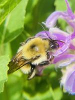 View photo in a new window