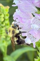 View photo in a new window