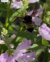 View photo in a new window