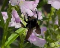 View photo in a new window