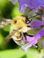 View photo in a new window